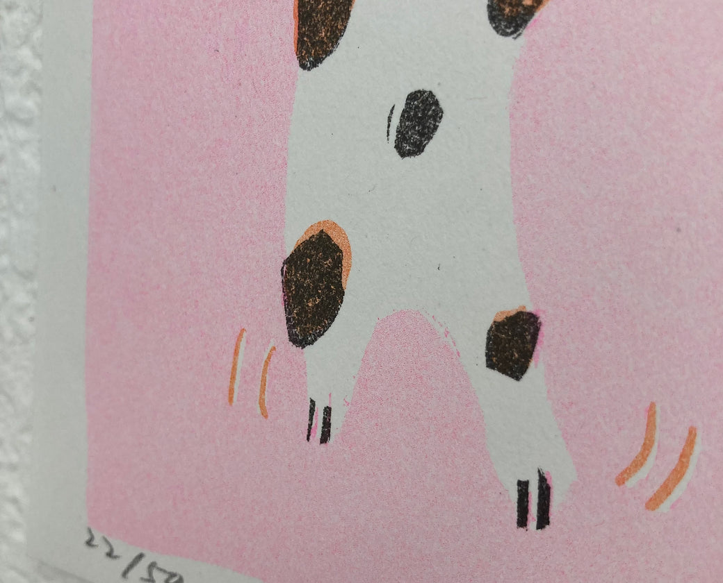 Limited Risograph - The cat and the string